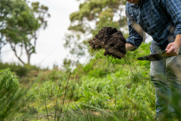 regenerative organic farmer, taking soil samples and looking at plant growth in a farm. practicing sustainable agriculture.