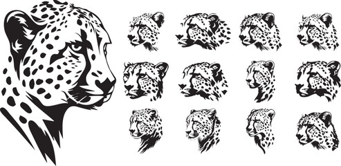 set of cheetah logo vector  illustration on white