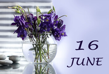 Calendar for June 16: numbers 16, name of the month June in English, bouquet of blue flowers