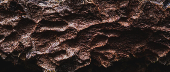 A close-up texture of rough, brown bark with deep grooves and ridges. Wallpaper 21:9