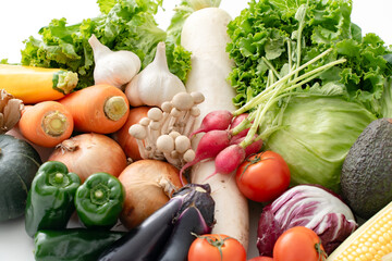 色々な野菜　集合