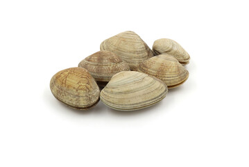 Closed up fresh baby clams, venus shell, shellfish, carpet clams, short necked clams, as raw food from the sea are the seafood ingredients. fresh clams Background.