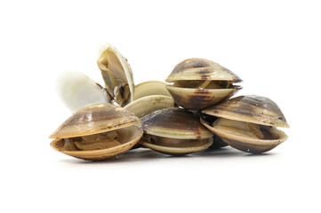 Closed up fresh baby clams, venus shell, shellfish, carpet clams, short necked clams, as raw food from the sea are the seafood ingredients. fresh clams isolated on white background.