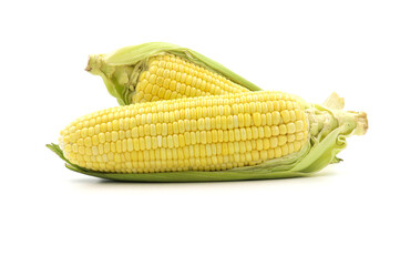 Fresh Corn on White Background. Healthy Sweet Corn on White. Vegetable Corn on White Background. Organic Corn on White. Close-up of Corn on White Background.