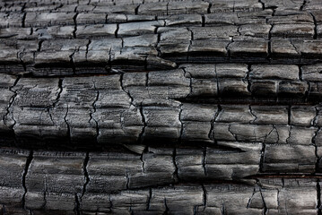 Verkohltes Holz als Holzkohle nahaufnahme