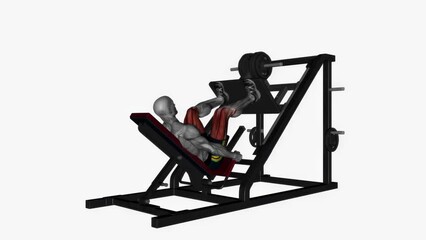 3D illustration animation of a fitness male model doing the leg press machine high stance workout