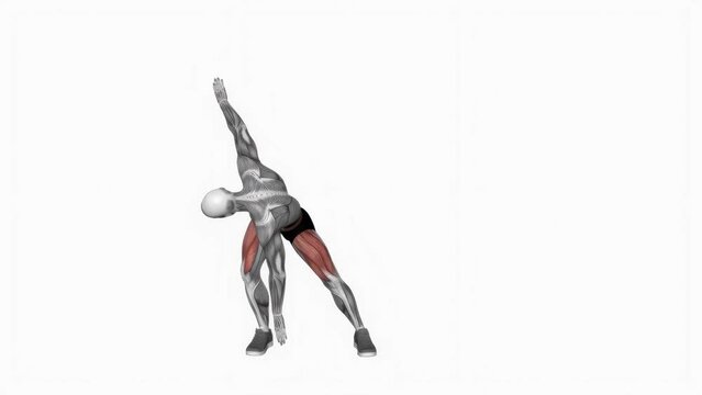 3D animation of fitness male model doing Hamstring No Equipment workout on isolated white background