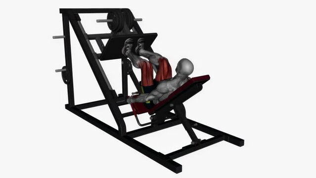 3D illustration animation of a fitness male model doing the leg press machine close stance workout