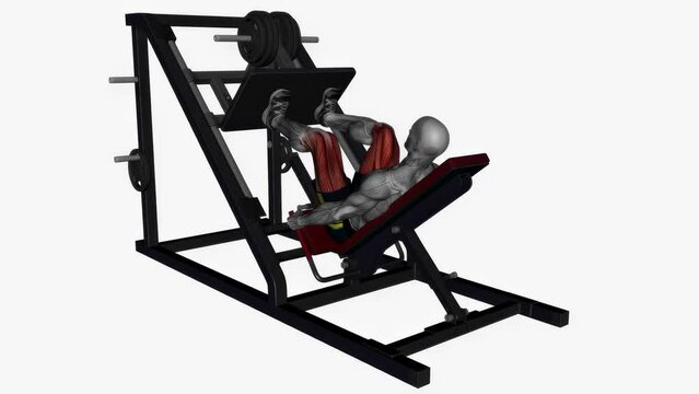 3D illustration animation of a fitness male model doing the leg press machine normal stance workout
