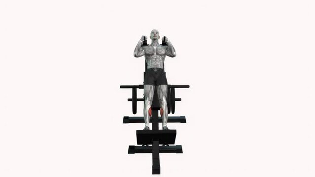 3D illustration animation of fitness male model doing the "calf raise on hack squat machine" workout