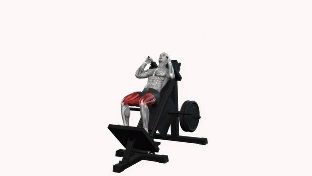 3D illustration animation of a fitness male model exercising on the hack squat machine