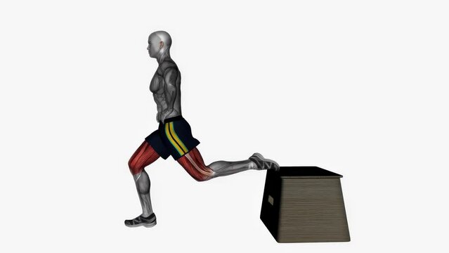 3D illustration of a fitness male model doing the barbell Bulgarian split squat workout