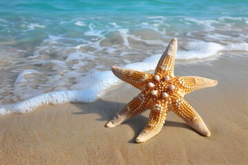 Vibrant Starfish Resting on a Pristine Sandy Beach