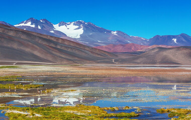 Northern Argentina