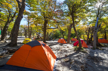 Tent in the forest