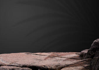 Studio Room Background,Rock Stone Display stage stand Podium with light,Palm leaf shadow on Black Wall backgrounds for Product Present,Backdrop Rock Sea pedestal for cosmetic and fashion branding idea