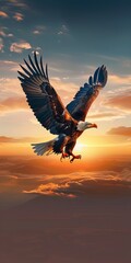Obraz premium A graceful eagle flies freely in the sky during a breathtaking sunset
