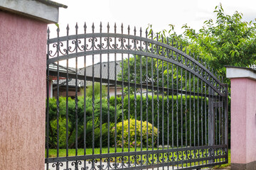 wrought Iron fence with iron gate 