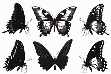 Set of butterflies silhouettes drawing on isolated background. Hand drawn butterfly vector illustration