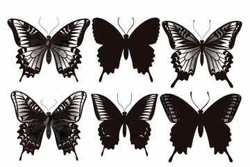 Set of butterflies silhouettes drawing on isolated background. Hand drawn butterfly vector illustration