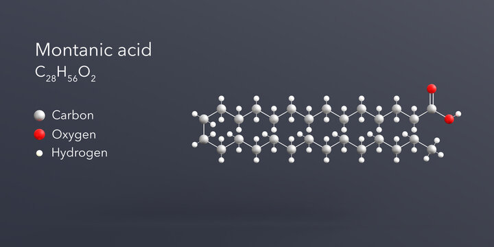 montanic acid molecule 3d rendering, flat molecular structure with chemical formula and atoms color coding