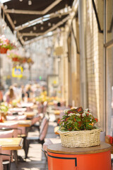 The street cafe is decorated with plants. Sunny summer day.