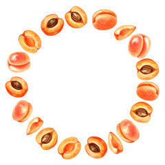 Round fruit frame of ripe orange pink apricots with green leaves, brown pit. Watercolor illustration with apricot crush color for harvest day template design, labels, kitchen textiles