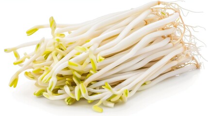 Bean Sprouts on White Background
