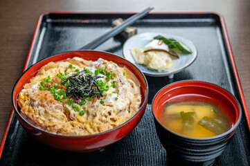A delicious Japanese dish of chicken and egg over rice.
