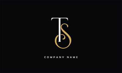 TS, ST, T, S Abstract Letters Logo Monogram