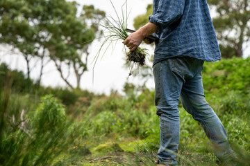 university student conducting research on forest health. farmer collecting soil samples in a test...