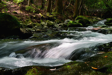 渓谷の川の流れ