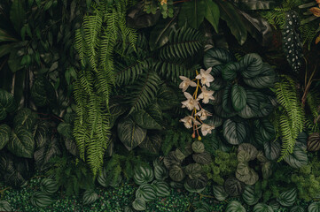 Abstract oil painting art. Flowers, leaves. Sprinkle paint on paper. Shiny golden texture. Prints, wallpaper, posters, cards, murals, rugs, hangings, wall art, art.