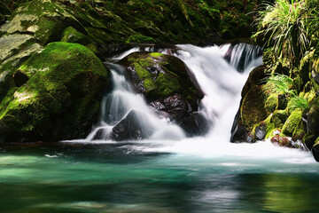 渓谷の小さな滝