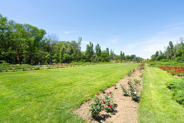 King Michael I of Romania Park in Bucharest