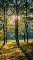 Fototapeta premium best photo of nature, super realistic photo, for using as a background for mobile phone