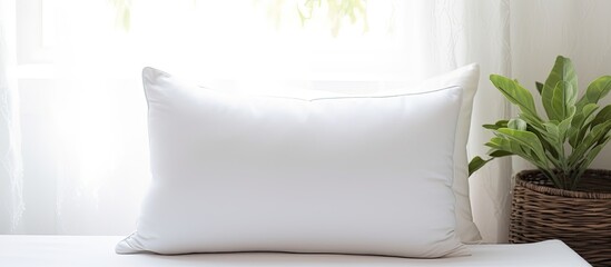 A beautiful photo frame and a decorative pillow on a white background. copy space available