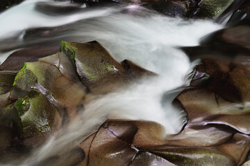 渓谷の川と石の風景