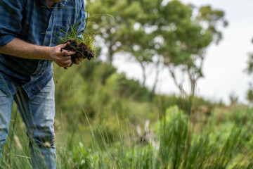 farmer wearing blue shirt and jeans, farmer holding soil, doing soil tests in a home laboratory....