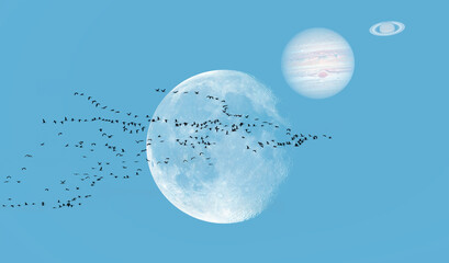 Fototapety na wymiar - Fototapeta24.pl