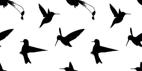 hummingbird. a shadow. the silhouette of a hummingbird. Feathered. vector. black color. on a white background. seamless pattern. the pattern. animal. a wild animal. bird. Fly. traces.