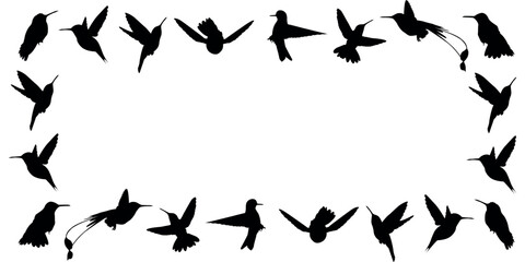 hummingbird. a shadow. the silhouette of a hummingbird. Feathered. vector. black color. on a white background. seamless pattern. the pattern. animal. a wild animal. bird. Fly. traces. © AR_pic