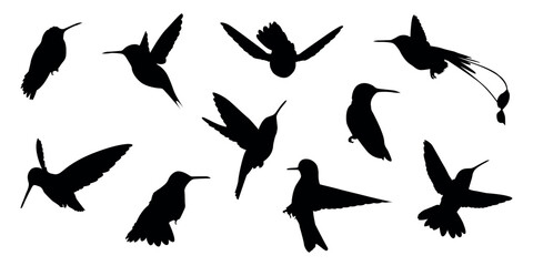hummingbird. a shadow. the silhouette of a hummingbird. Feathered. vector. black color. on a white background. seamless pattern. the pattern. animal. a wild animal. bird. Fly. traces.