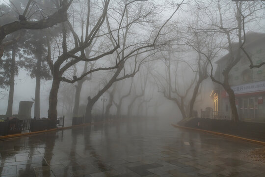 Fog, Mount Lu (Lushan), UNESCO World Heritage Site, Jiujiang, Jiangxi, China