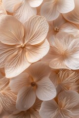 intricate details of beige and white colour petals