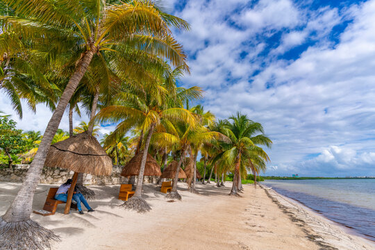 View of palm trees and Playa Delfines, Cancun, Caribbean Coast, Yucatan Peninsula, Riviera Maya