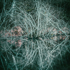 PAYSAGES DE BOURGOGNE - PUISAYE