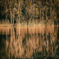 PAYSAGES DE BOURGOGNE - PUISAYE
