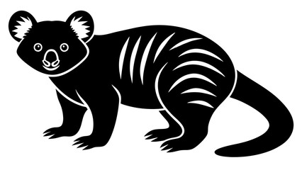 phascolarctos  vector art and illustration