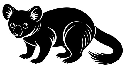 phascolarctos  vector art and illustration